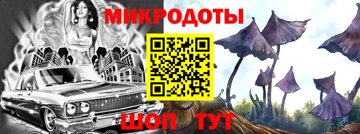 Галлюциногенные грибы Psilocybe Чистополь