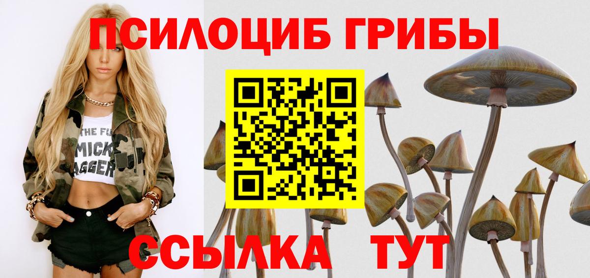 Чистополь  Галлюциногенные грибы Cubensis  Вход с VPN 