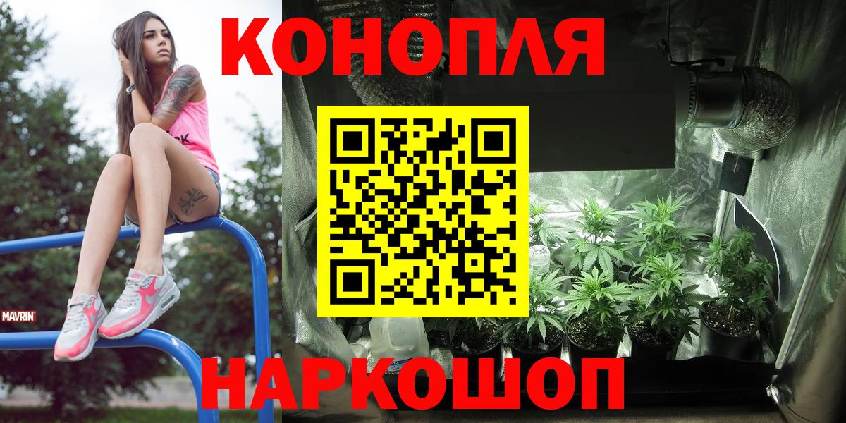 Марихуана OG Kush Чистополь